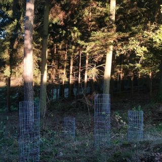 Testuji různé výšky pletiva a různé síly materiálu konstrukce Motýle. Na těchto testováních je zajímavé to, že výsledek...