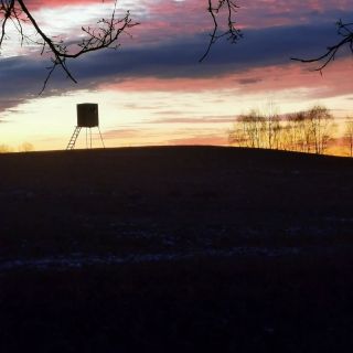 Zima, klid, vše jak má být. #motyle #ochranastromu #stromy #agrolesnictvi #sazimestromy #trees #nature #krajina